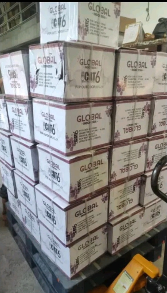 GLOBAL FTP CAT 6 DOUBLE JACKET
